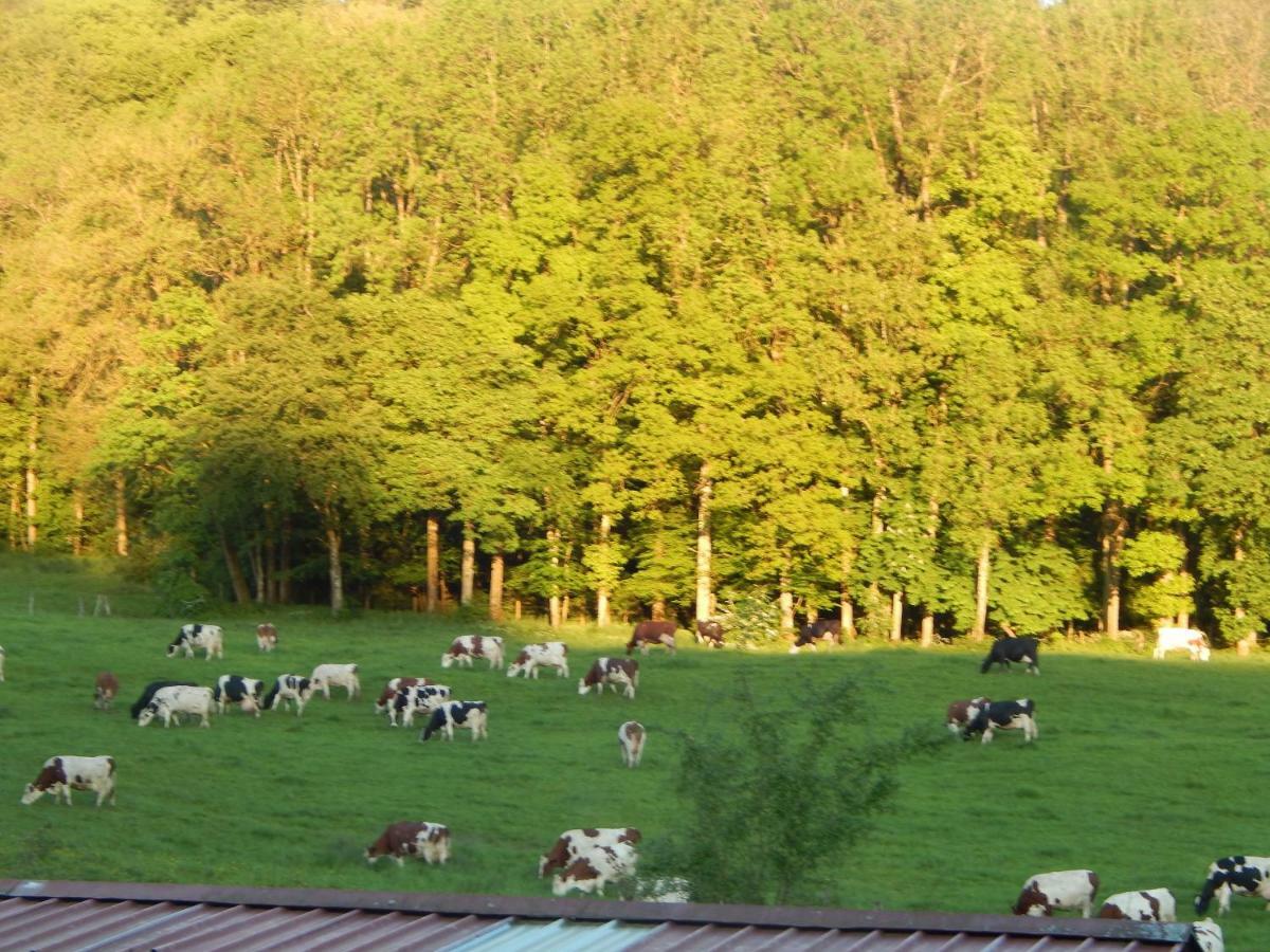 A La Source Du Saolon Culmont Exterior foto